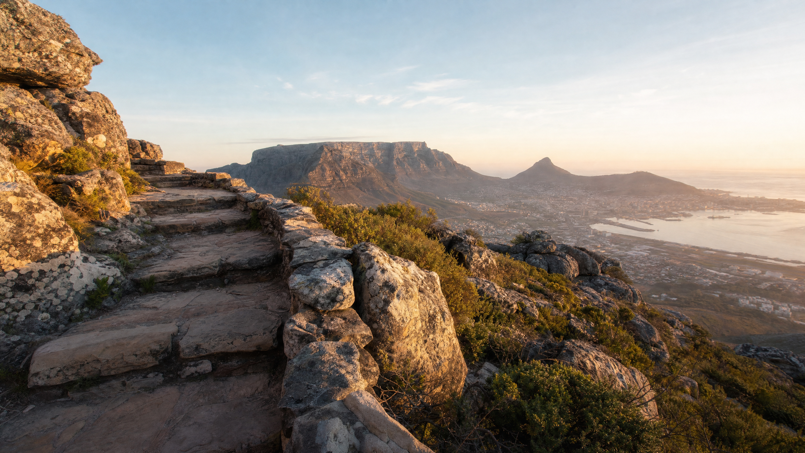 From Hoerikwaggo to a Modern Icon: A Short History